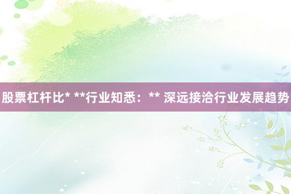 股票杠杆比* **行业知悉：** 深远接洽行业发展趋势