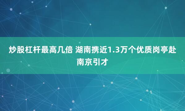 炒股杠杆最高几倍 湖南携近1.3万个优质岗亭赴南京引才