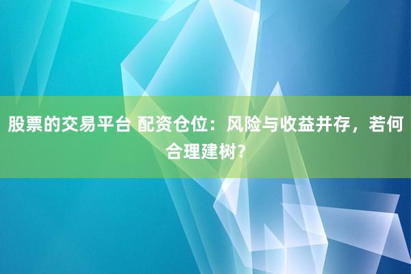 股票的交易平台 配资仓位：风险与收益并存，若何合理建树？