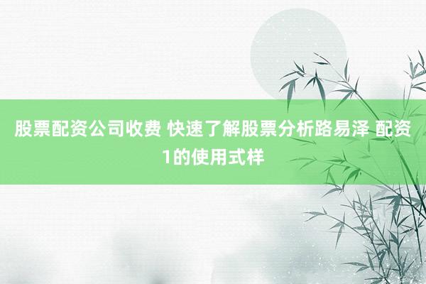 股票配资公司收费 快速了解股票分析路易泽 配资1的使用式样